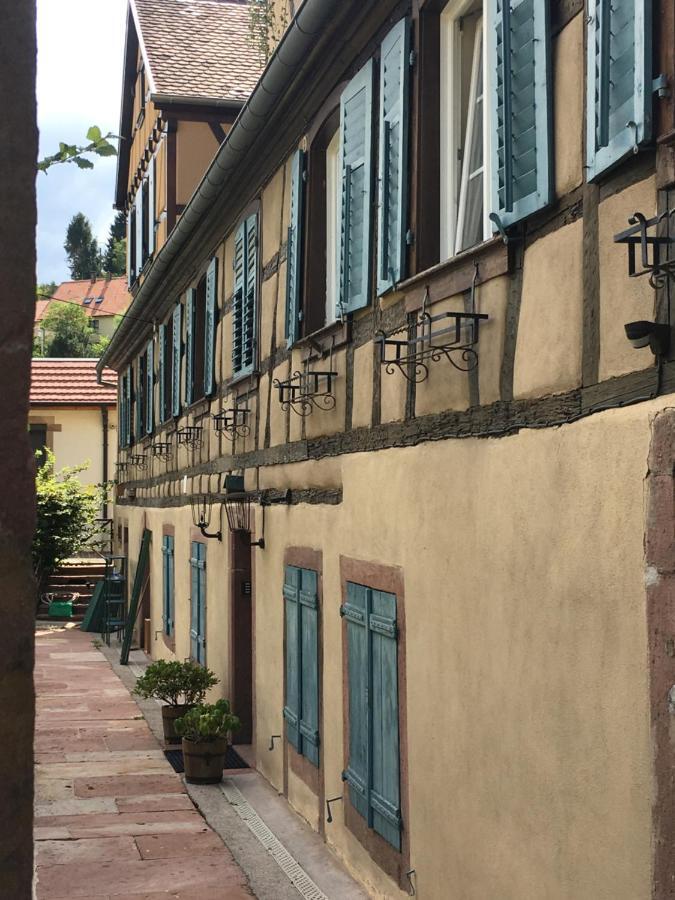Le Gite Du Moulin Ribeauvillé Εξωτερικό φωτογραφία