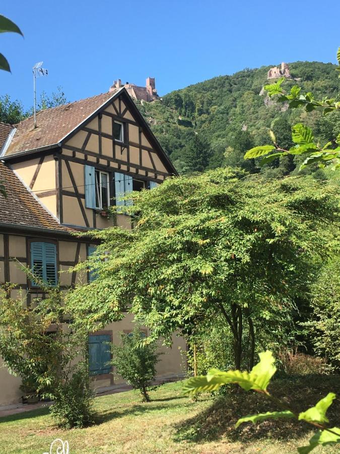Le Gite Du Moulin Ribeauvillé Εξωτερικό φωτογραφία